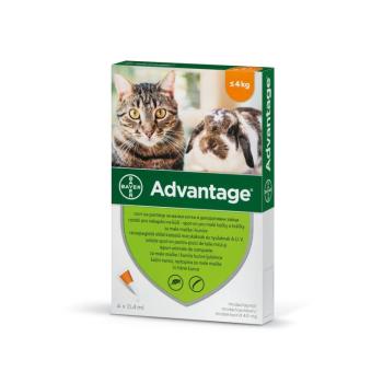Advantage Spot On macskák részére 4 db / 4 kg alatt kép