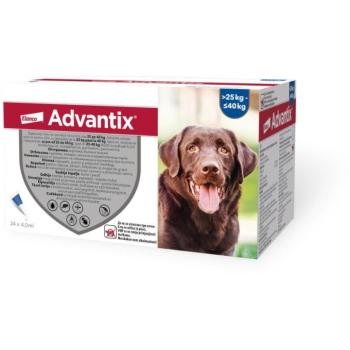 Advantix Spot On 25-40 kg 24x4 ml kép
