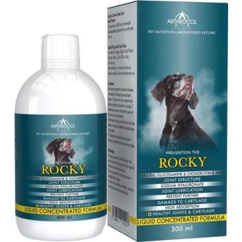 Arthrocol Rocky 300 ml kép