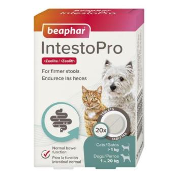 Beaphar IntestoPro S tabletta kutyáknak és macskáknak kép