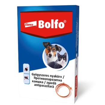 Bolfo bolhanyakörv kicsi 38 cm kép