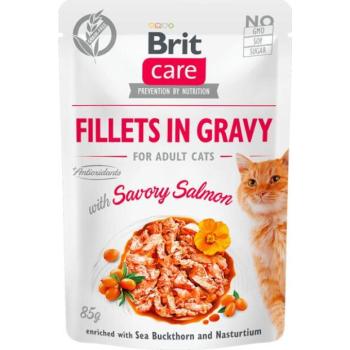Brit Care Fillets in gravy salmon 24x85 g kép