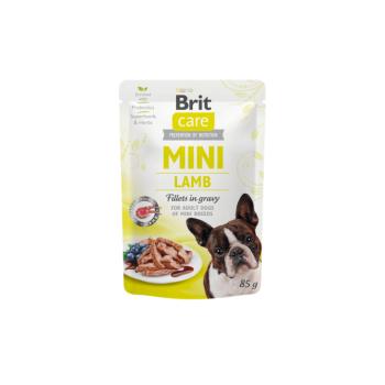 Brit Care MINI Pouch Lamb 24x85g kép