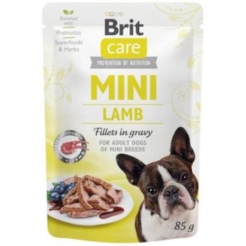 Brit Fillets in Gravy lamb 85 g kép