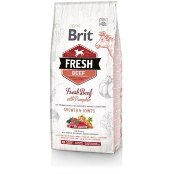 Brit Fresh Beef with Pumpkin Puppy 2,5 kg kép