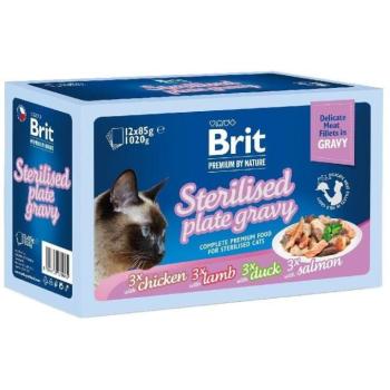 Brit Premium Delicate Fillets in gravy Family Plate sterilised 12x85 g kép