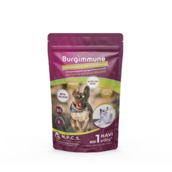 Burgimmune Prémium Immunerősítő Kombináció (1 havi adag) 45g kép