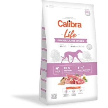 Calibra Life Junior Large Breed Lamb 12 kg kép