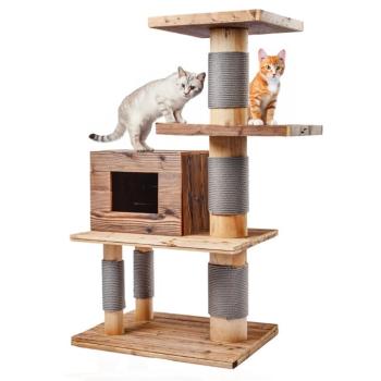 Canadian Cat Company Woody kaparófa macskáknak, barna 2 csomagban kép