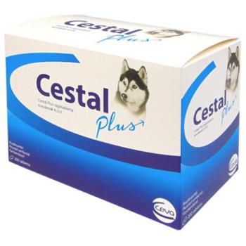 Cestal Plus Rágótabletta 8 x kép