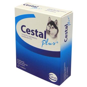 Cestal Plus rágótabletta kutyáknak 2 db kép