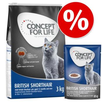 Concept for Life próbacsomag: 3kg Breed száraz macskatáp+12x85g Breed nedves macskatáp- British Shorthair Adult