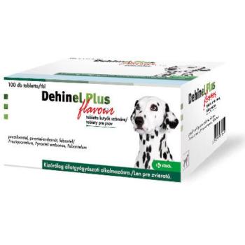 Dehinel Plus Flavour tabletta 100 db kép