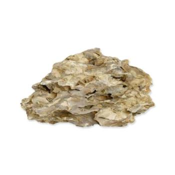 Dekoráció Rataj kő Dragon rock S kép