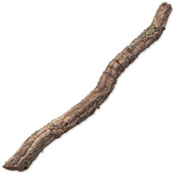 Dekoráció Repti Planet Korkág XL 90cm-120cm kép