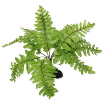 Dekoráció Repti Planet Nephrolepis páfrány növény 20cm kép