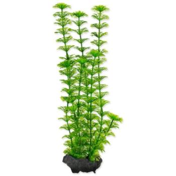 Dekoráció Tetra Plant Ambulia M 23cm kép