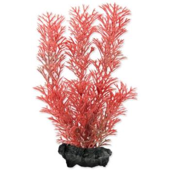 Dekoráció Tetra Plant Foxtail Red S 15cm kép