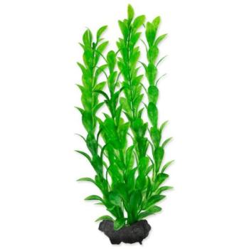 Dekoráció Tetra Plant Hygrophila M 23cm kép