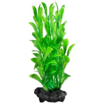 Dekoráció Tetra Plant Hygrophila S 15cm kép