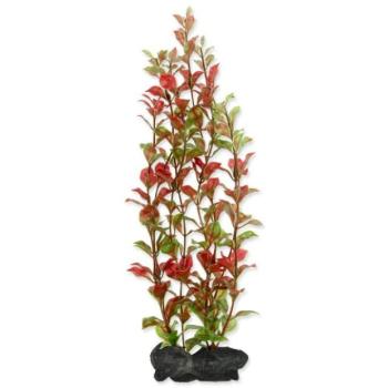 Dekoráció Tetra Plant Red Ludwigia L 30cm kép