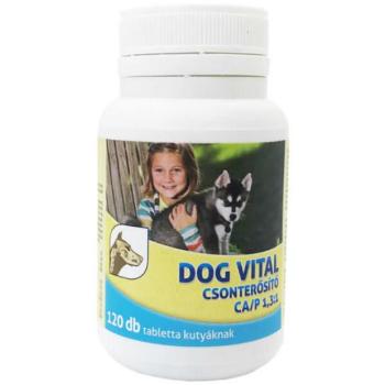 DOG VITAL CA/P csonterősítő 120 db kép