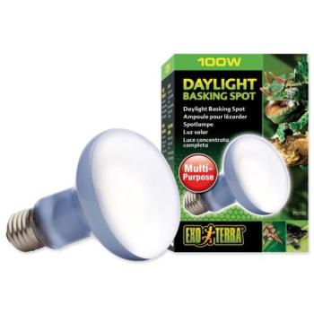 Exo Terra Daylight Basking Spot 100 W-os izzó kép