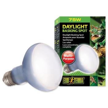 Exo Terra Daylight Basking Spot 75 W-os izzó kép