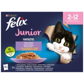 FELIX Fantastic Junior Mixed Selection in aspic 12x85 g kép
