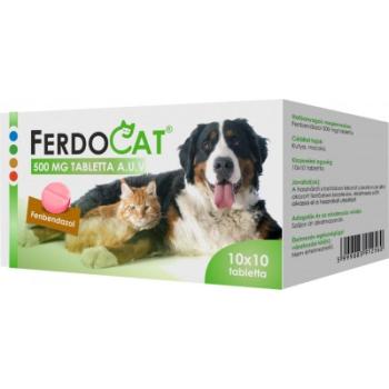 Ferdocat tabletta A.U.V. 100 tabletta kép