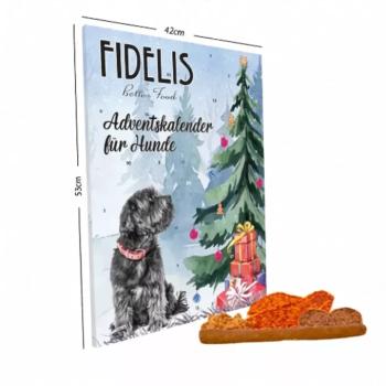 FIDELIS XL Adventi naptár kutyáknak 1 (53x42 cm) kép