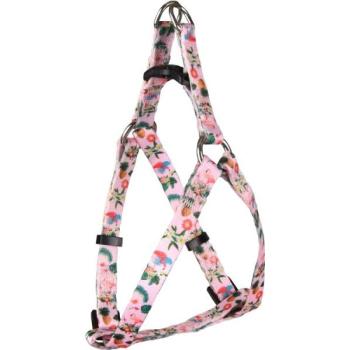 Flamingo Step & Go Sera 35-50 cm kép