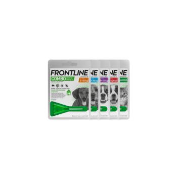 Frontline combo kutya S /2-10 kg/ 1x kép