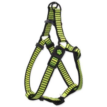 Hám Active Dog Premium L lime 2,5x65-99cm kép