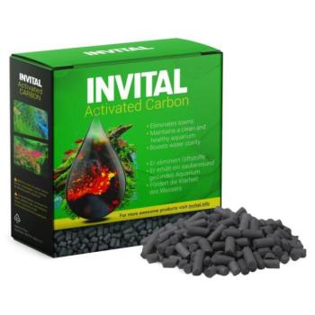 INVITAL Aktivált szén - aktív szén 500 g kép