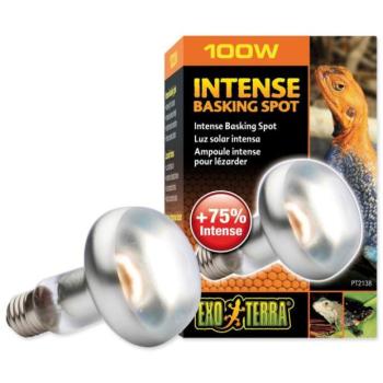 Izzó Exo Terra Intense Basking Spot 100W kép