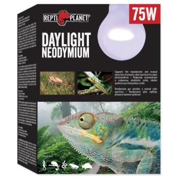 Izzó Repti Planet Daylight Neodímium 75W kép