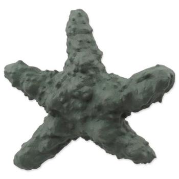 Játék Dog Fantasy Sea NaturalToy csillag gumi zöld 15cm kép