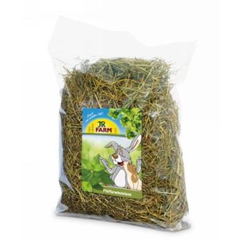 JR Farm Széna Borsmentával 500 g kép