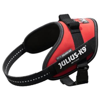 JULIUS-K9 IDC® powerhám kutyáknak, piros, 49 - 67 cm mellkaskörfogat kép