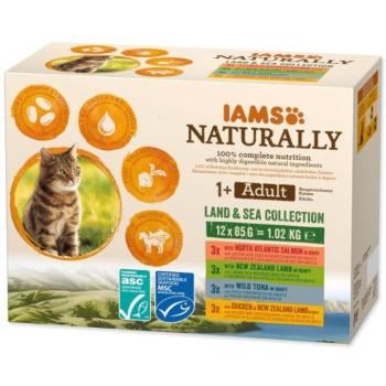 Kaps.IAMS Natur.mors.Asuchoz.húsSzósz.multip.12x85g kép