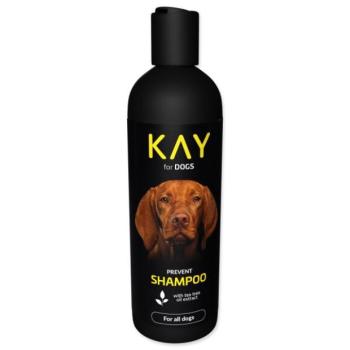 KAY sampon teafaolajjal 250ml kép