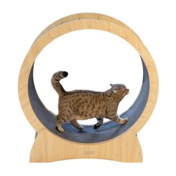 Kerbl Pet macskakerék szobacicáknak, Ø90 cm kép