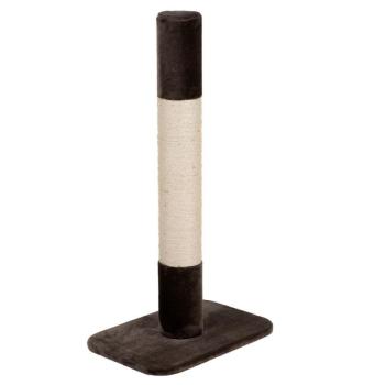 Kis kaparófák (100 cm alatt) kép
