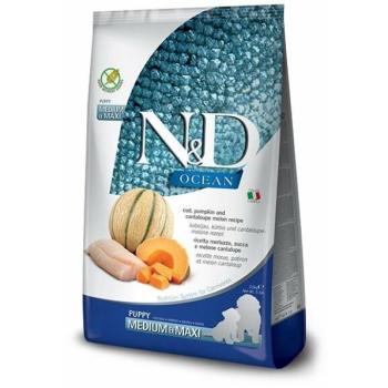 N&D Ocean Puppy Medium & Maxi Codfish, pumpkin and cantaloupe melon 12 kg kép