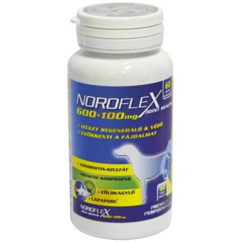 Noroflex Ízületvédő és fájdalomcsökkentő rágótabletta 60 db kép
