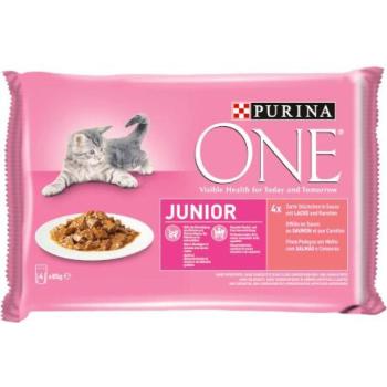 ONE Junior Mini Filé salmon & carrot in sauce 4x85 g kép