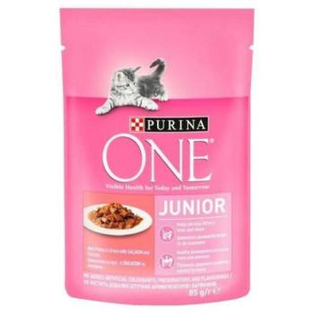 ONE Junior Mini Filé salmon & carrot in sauce 85 g kép