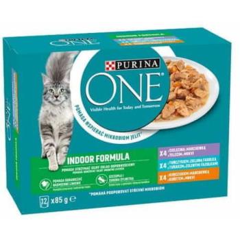 ONE Multipack Indoor mini filé chicken 12x85 g kép