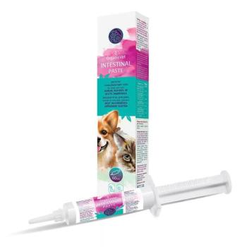 OrganoVet Intestinal Paste - kiegészítő állateledel bélrendszer támogatására 60 ml kép